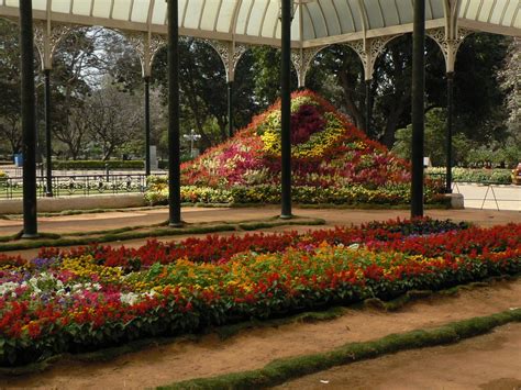 50 phenomenal photos of Lal Bagh Botanical Gardens in Bangalore, India ...