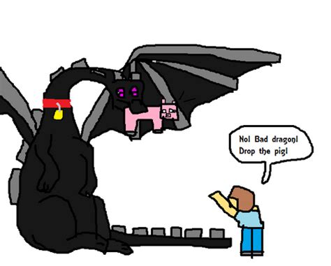 Image - Pet ender dragon.png - Minecraft Fanfictions Wiki