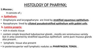 Histology of pharynx & larynx | PPT