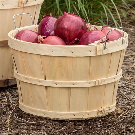 Old-Time Poplar Half Bushel Baskets - Pack of 2, Garden Accessories ...