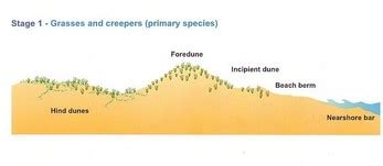 Interactions within the Biophysical Environment