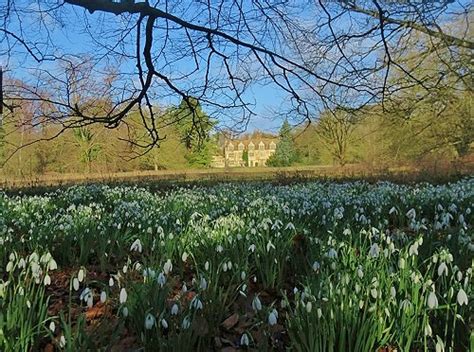 Anglesey Abbey and Gardens, Cambridge - Great British Gardens