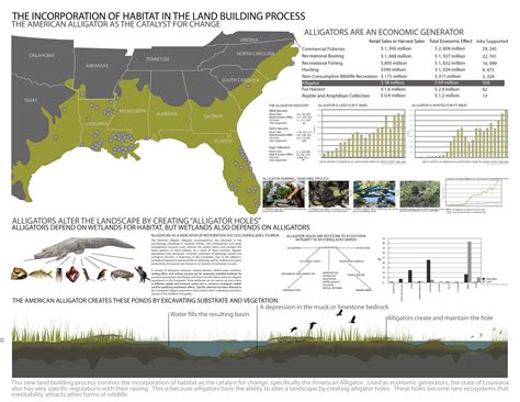 American alligator, Habitats, Recreation