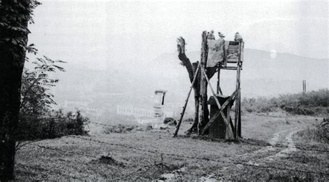 Yugoslav-Italian border line, Trieste, 1952 | Border lines, Borders ...