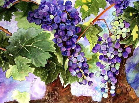 Color Grape Vine Design