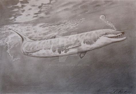 Basilosaurus by Polihierax on DeviantArt