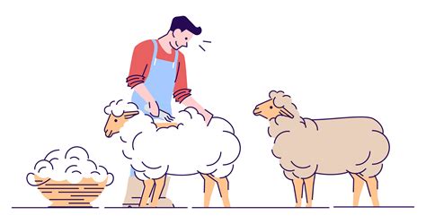 Male farmer shearing sheep flat vector character. Wool production ...