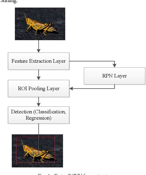 Figure 4 from A Locust Swarm Recognition Algorithm Based on Faster-RCNN ...