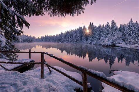 HD wallpaper: winter, forest, lake | Wallpaper Flare