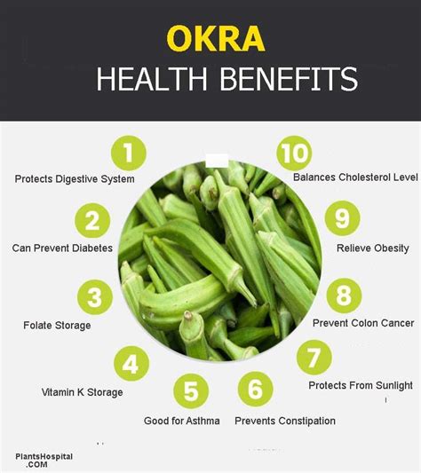 Okra: 13 Best Health Benefits of This Super Plant! | Try it Now!