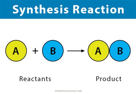 What Is A Synthesis Reaction Definition And Examples | Images and ...