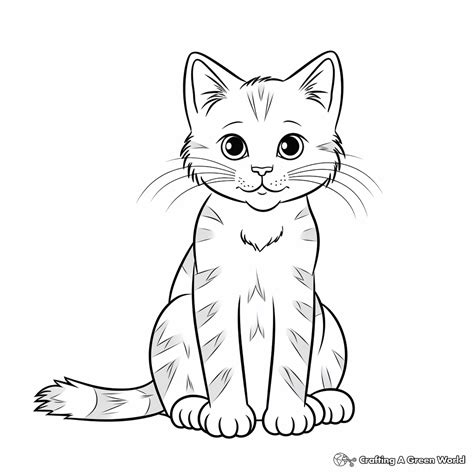 Tabby Cat Coloring Pages - Free & Printable!