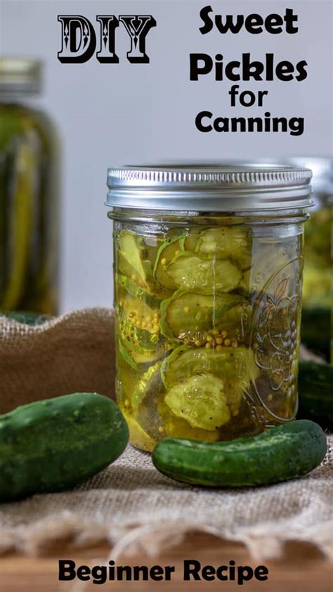 Crispy Sweet Pickles - Water Bath or Cold Pack Canned - Binky's ...