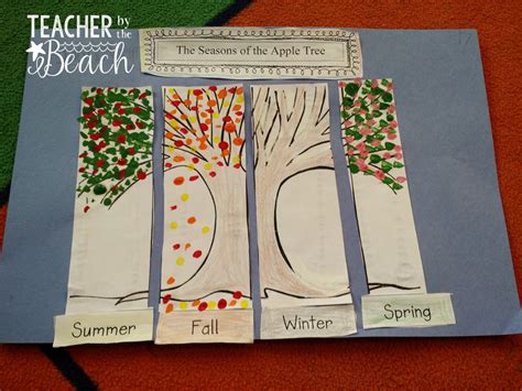 Seasons - Freebies! - Teacher by the Beach