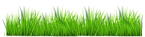 Easy English Vocabulary Stock photography Download Clip art - Grass ...