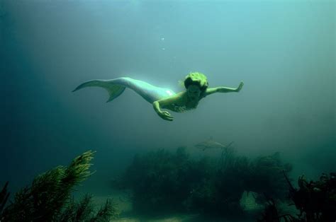 mermaid swimming in the ocean | Mermaid photography, Mermaids and ...