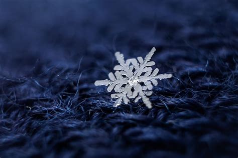 Premium Photo | Snowflakes close-up.