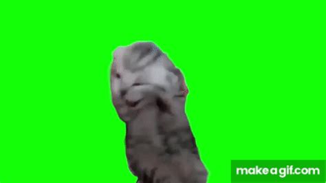 Green Screen Dramatic Kitten Meme | Screaming Cat Meme on Make a GIF