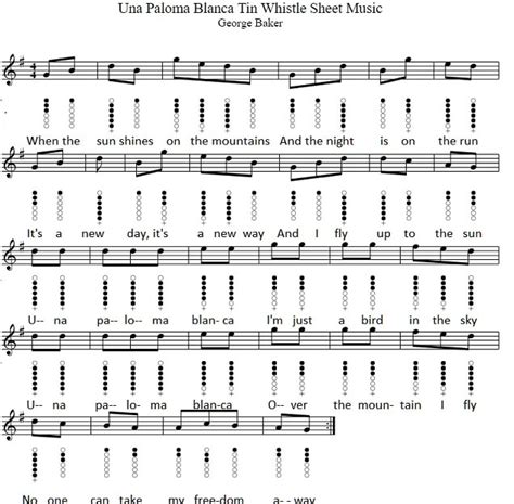 Una paloma blanca sheet music - Irish folk songs