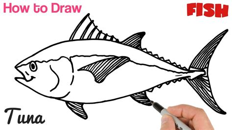 How to Draw Tuna Fish Easy for Beginners | Art Tutorial