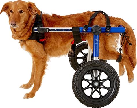 Diy Dog Wheelchair For Labrador / Walkin' Wheels SMALL Dog Wheelchair ...