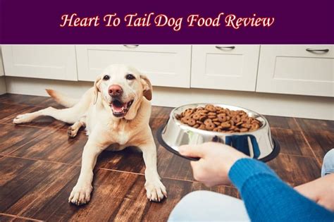 Heart To Tail Dog Food Reviews : [Top #3 Choices]