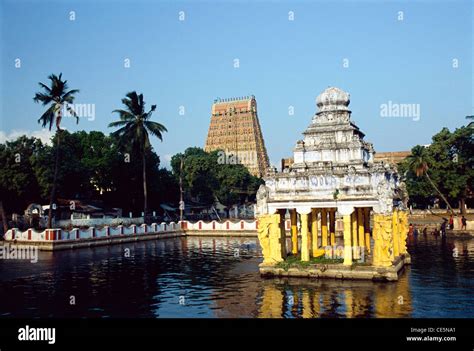 Kasi Viswanathar temple with pond in Tenkasi ; Tamil Nadu ; India Stock ...