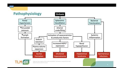 Ascites Liver Cirrhosis Pathophysiology / Liver cirrhosis - The Lancet ...