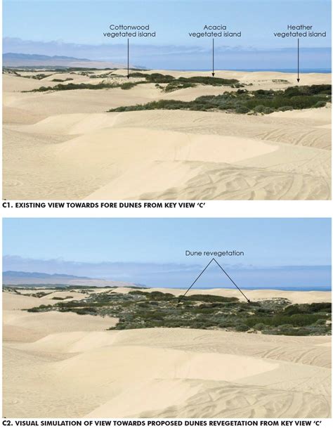 Oceano Dunes Stabilization Efforts - Oasis Associates, Inc.