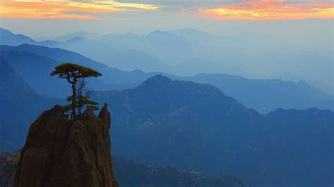 Magnificent mountains in huangshan china, tree, mountains, cliff ...