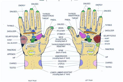 TRUELIFE: Reflexology