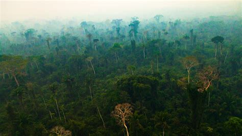 Human Activities Are Drying Out the Amazon: NASA Study – Climate Change ...