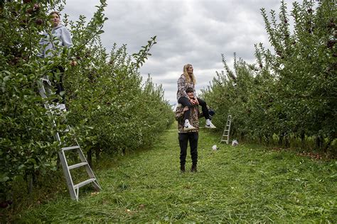 Friends go apple picking as fall descends on Central New York (photo of ...