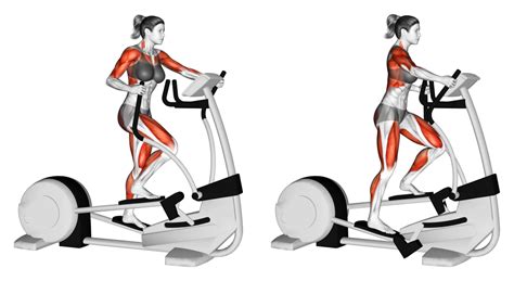 Elliptical vs Rowing Machine: Which is Best? - Inspire US