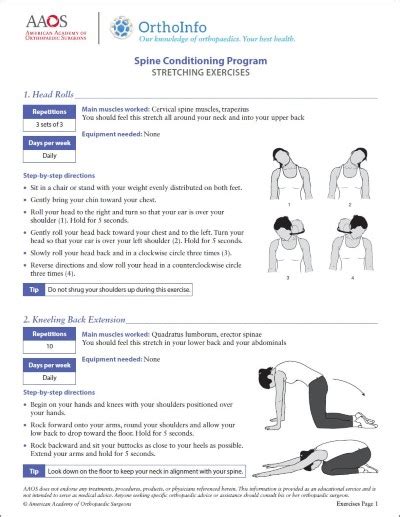 Spine Rehabilitation Exercises - OrthoInfo - AAOS