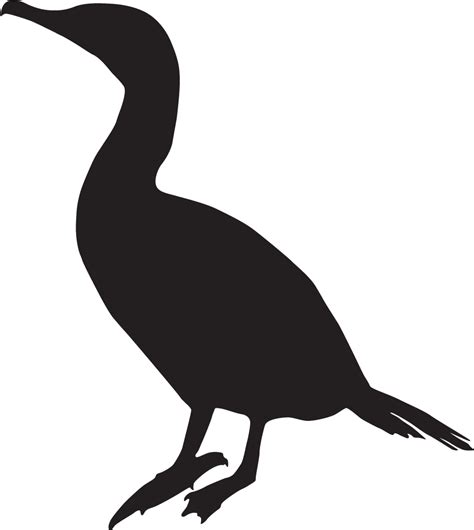 Anhinga - Cormorant Silhouette Clipart - Large Size Png Image - PikPng