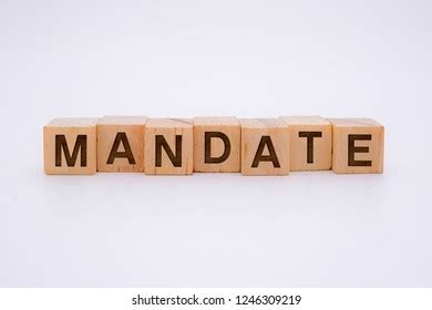 Mandate Word Written Wooden Cube Stock Photo 1246309219 | Shutterstock