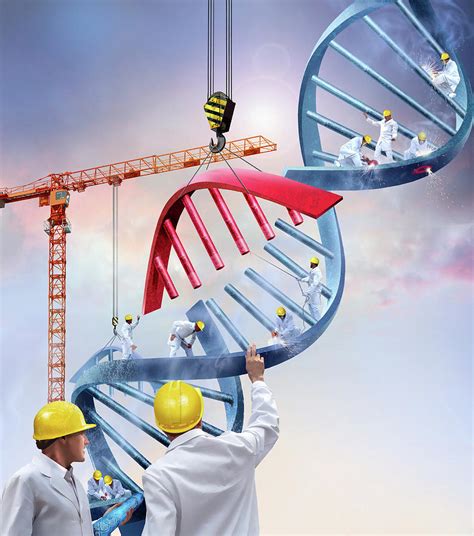 Genetic Engineering Photograph by Smetek/science Photo Library - Fine ...