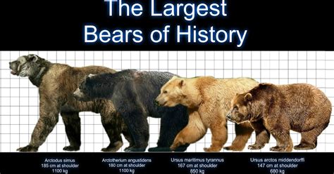 Extinct Animal of the Week: The Biggest Bear