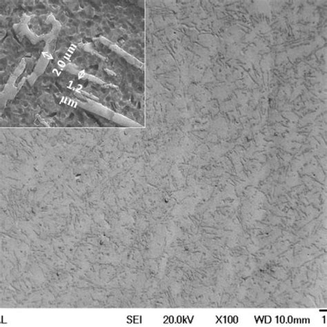 SEM micrographs showing the microstructure of (a) Al-10.5%Si-1%Ba ...