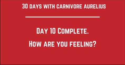 Day 10 Complete: How Are You Feeling - Carnivore Aurelius