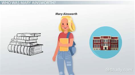 Mary Ainsworth's Biography, Theory & Contribution - Lesson | Study.com