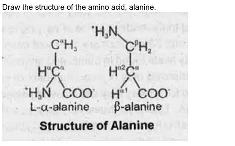 Draw the structure of the amino acid alanine.