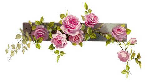 Free Clip Art Pink Roses Flowers high resolution (1600 x 904 ) - Flower ...