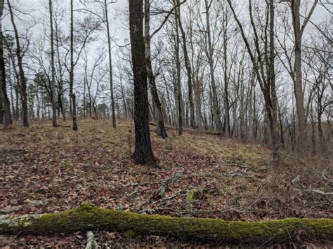 Hiking Burgess Mountain Trail in Oconee National Forest - Nate Shivar