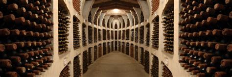 Old wine cellar stock photo. Image of fermenting, room - 8162154