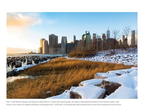 Brooklyn Bridge Park | Biennal