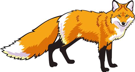 Download Transparent Wildlife Drawing Fox Image Transparent Library ...