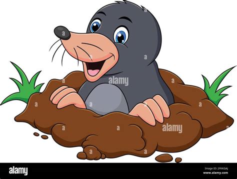 Mole Animal Cartoon