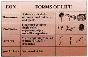 Fossils, Rocks, and Time: Rocks and Layers